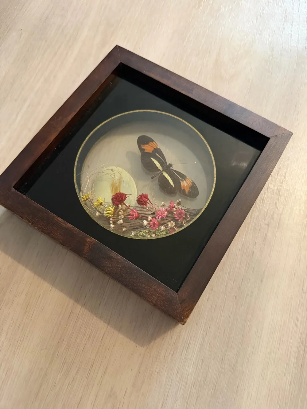 Vintage Taxidermy Butterfly / Dried Flowers Shadow Box Brazil Oddities Handmade